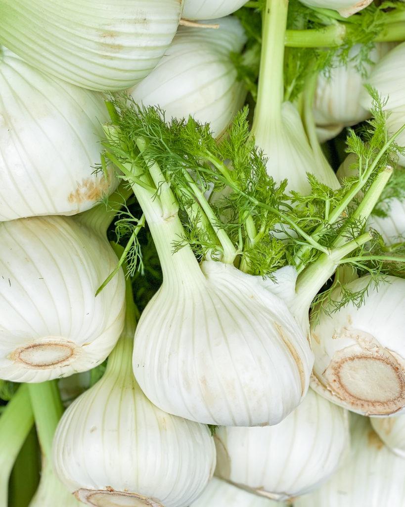 vegansk basislager fennikel
