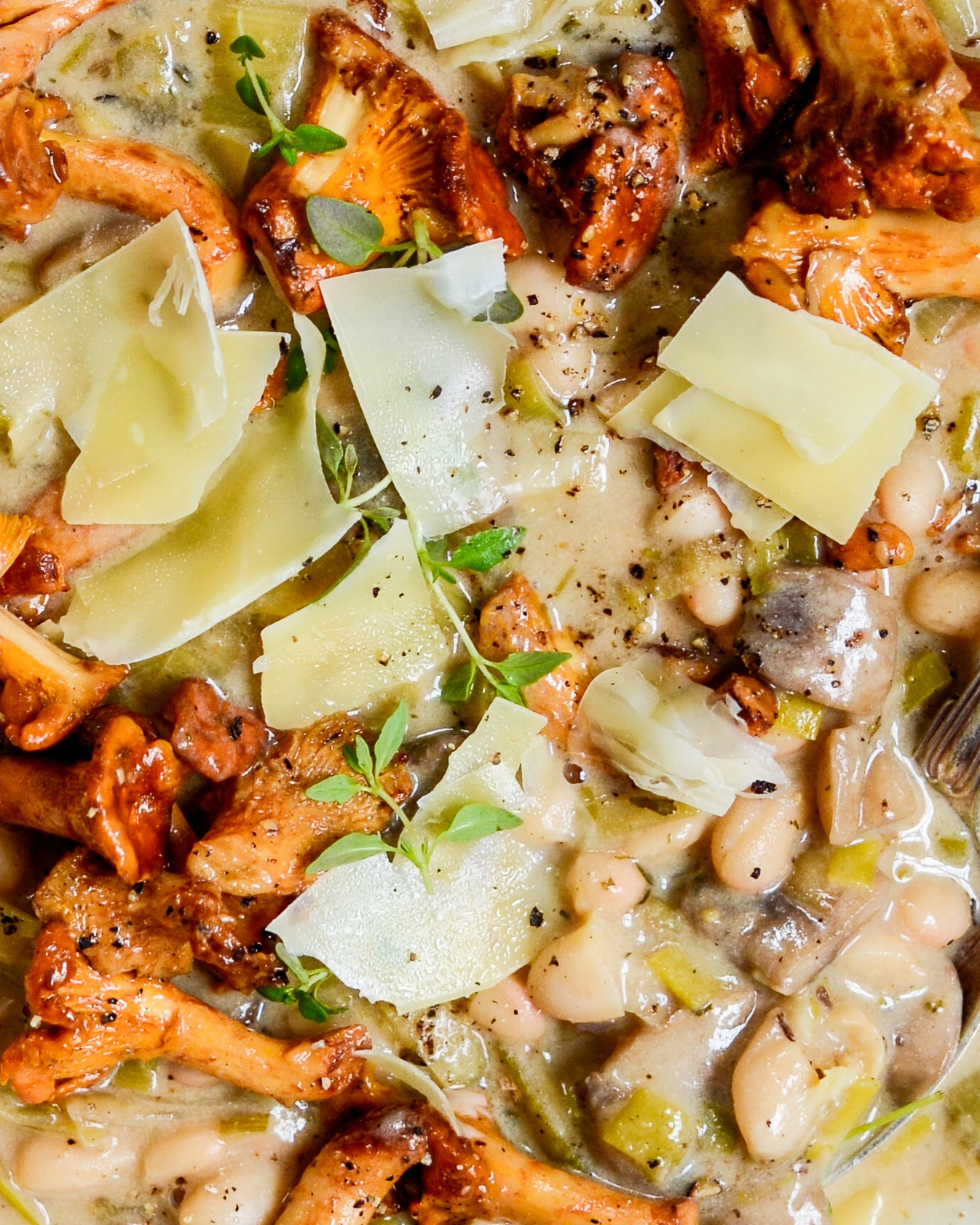 svampe stroganoff close up