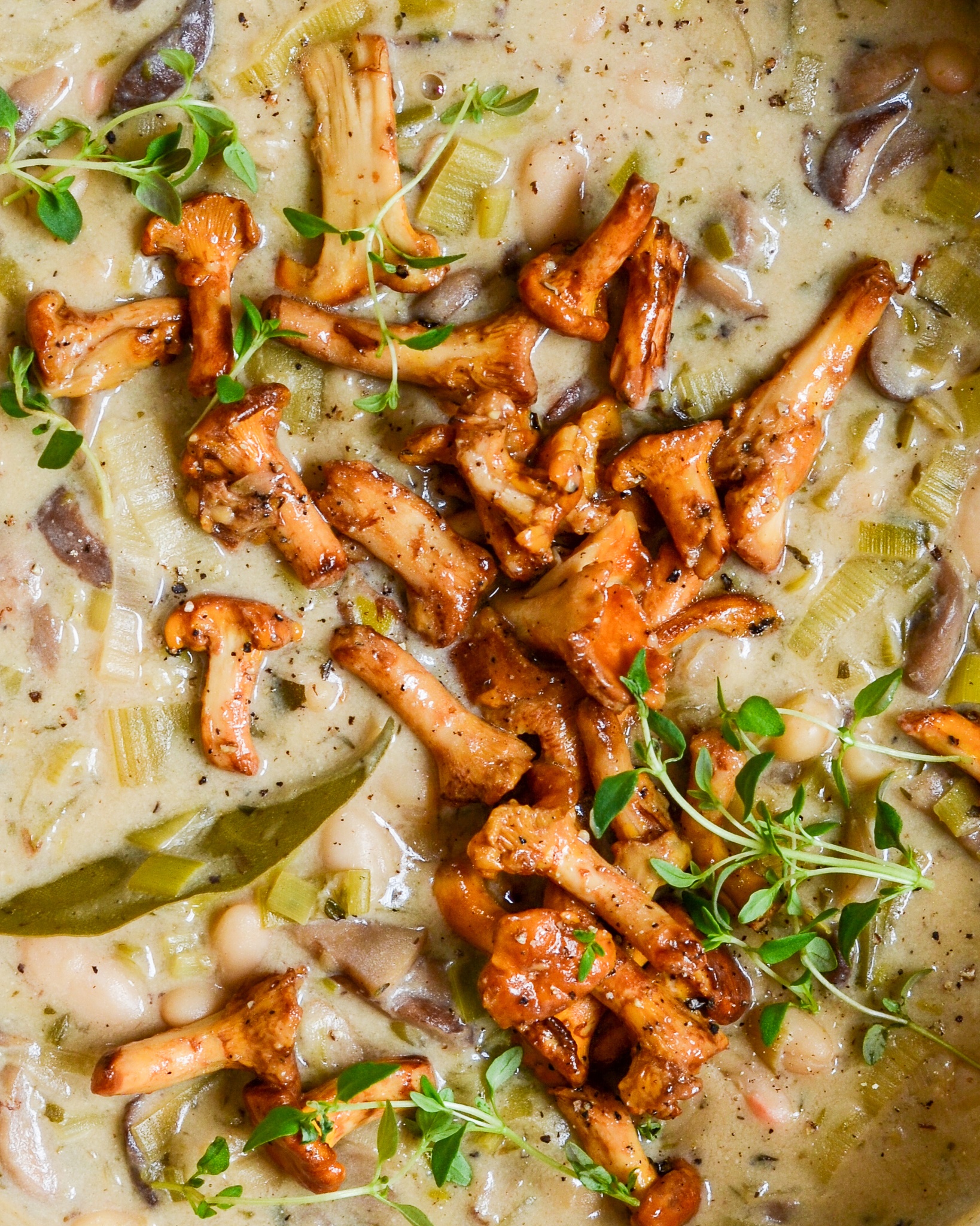 svampe stroganoff med kantareller