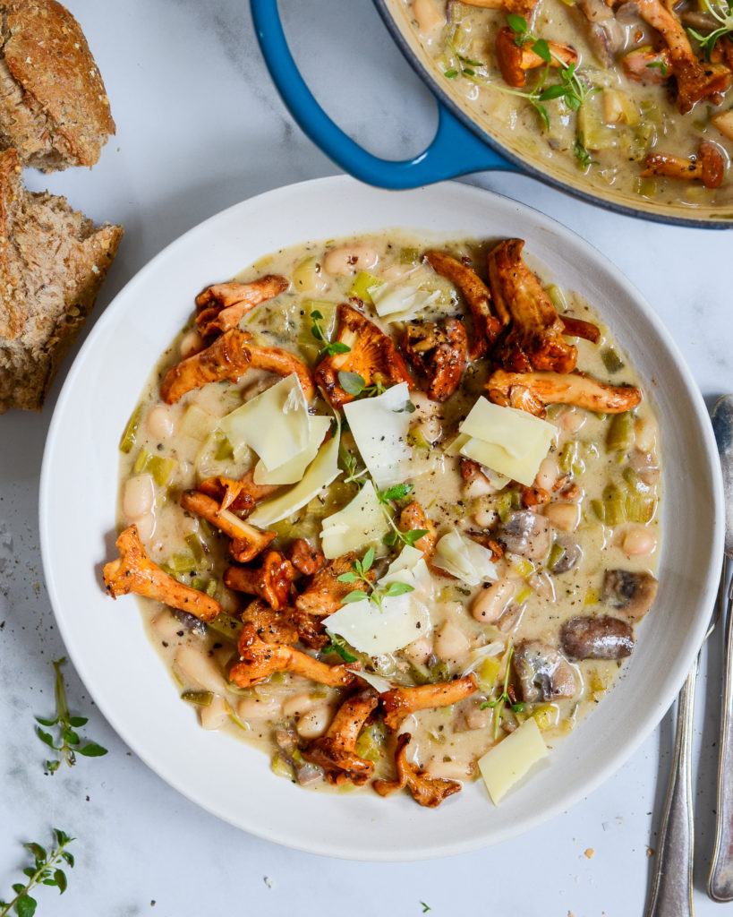 vegetarisk gryderet svampe stroganoff