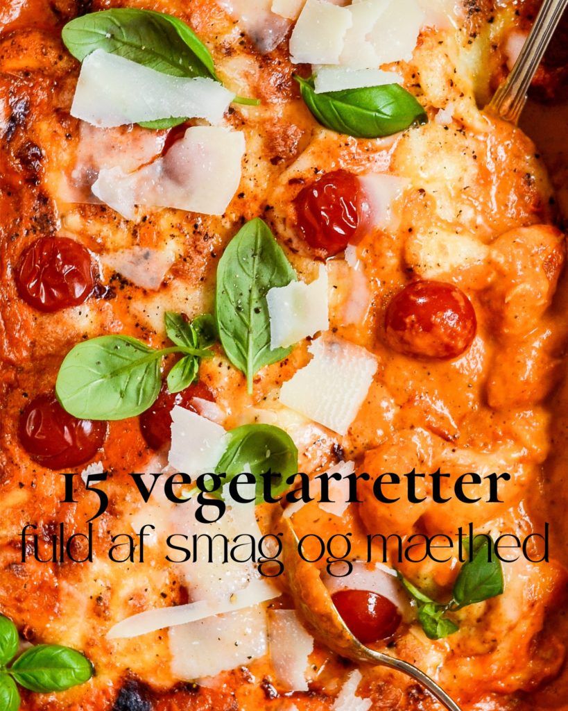 15 vegetarretter