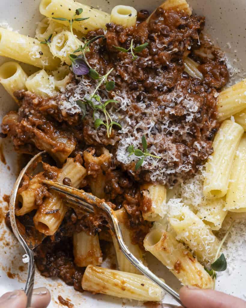 vegetar bolognese med linser