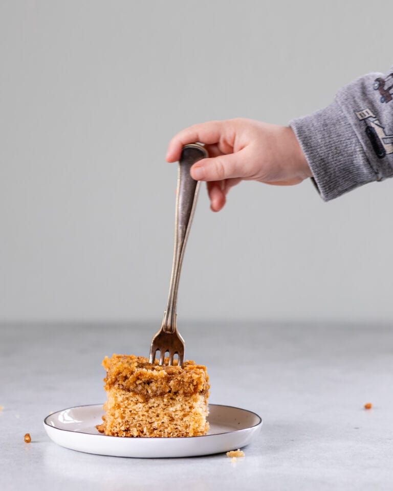 svampet vegansk drømmekage