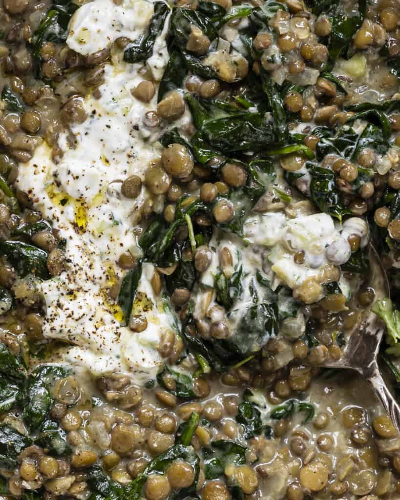grøn dahl med spinat og karrypasta