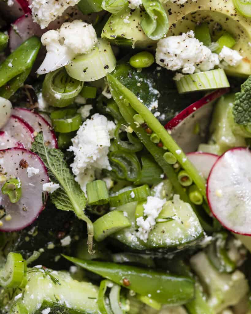 lækker grøn salat med vinaigrette