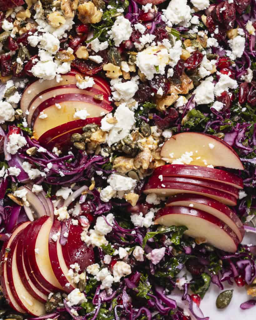 rødkålssalat med granatæbler og appelsin vinaigrette
