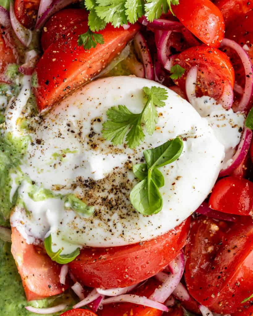 burrata salat med tomatsalat