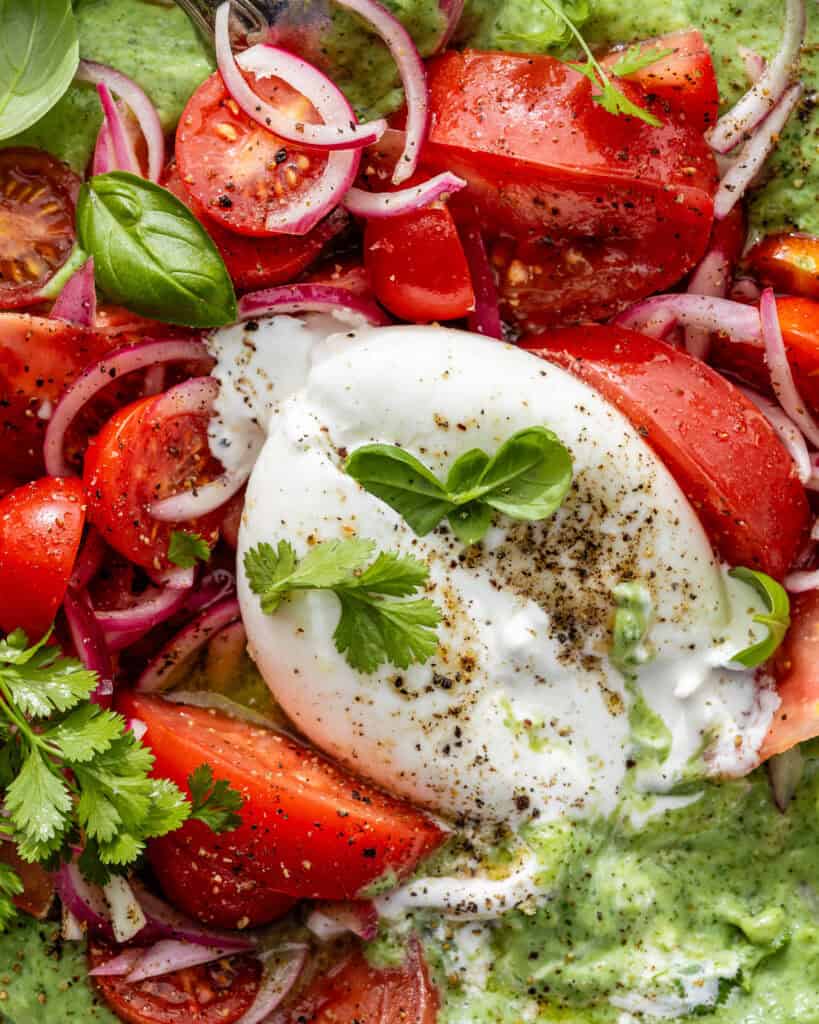burrata salat med tomat