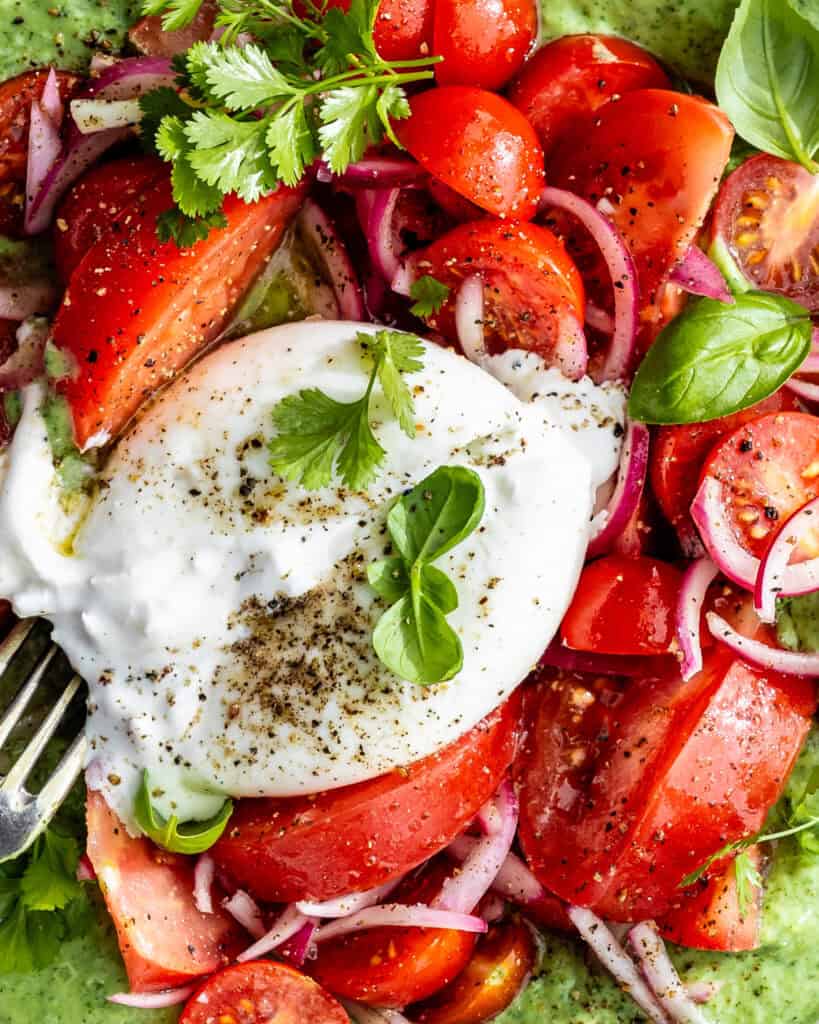 close up burrata salat med tomatsalat