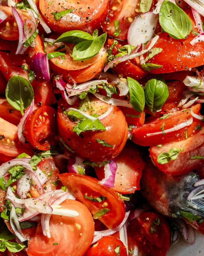 close up den bedste tomatsalat