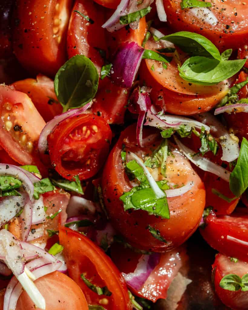 close up tomatsalat