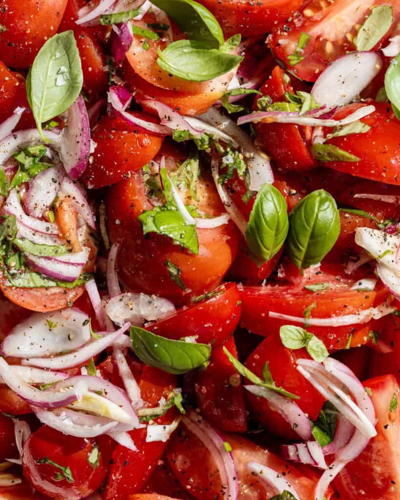 tomatsalat med rødløg close up