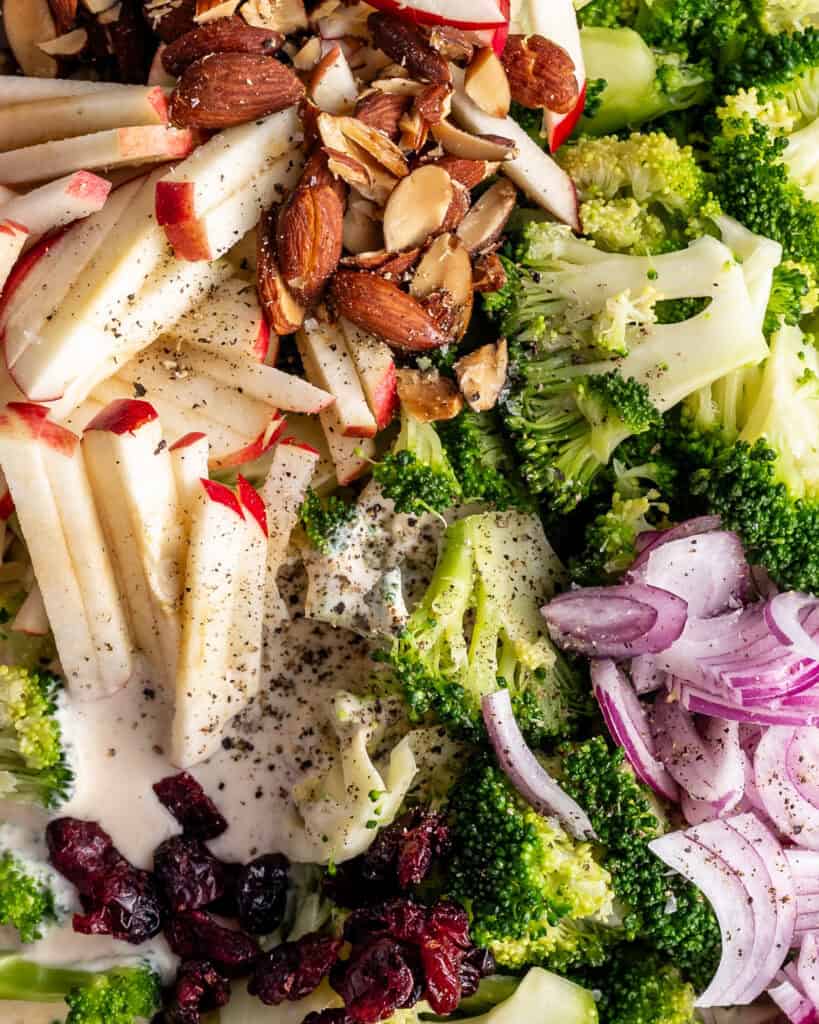 close up broccolisalat
